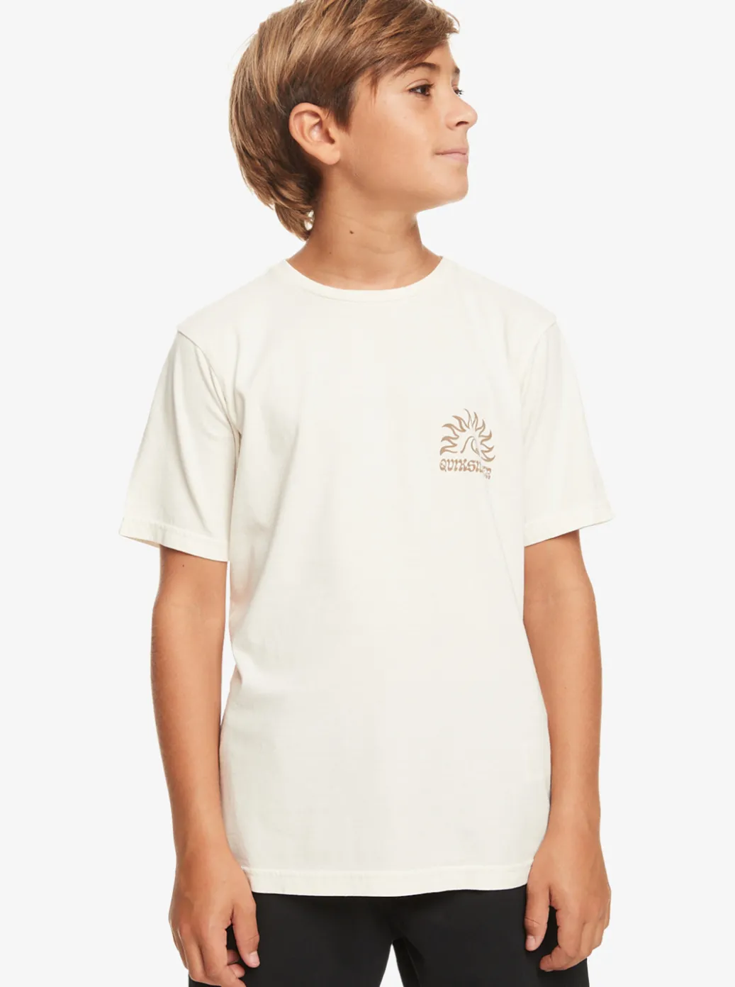 Sale Quiksilver Boy'S 8-16 Earthy Type T-Shirt Birch