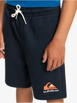 Best Sale Quiksilver Boy'S 8-16 Easy Day Joggers Navy Blazer