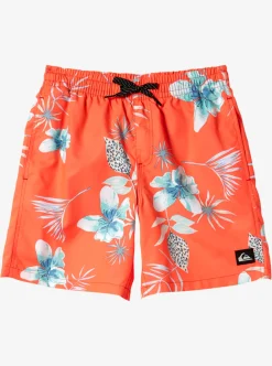 Cheap Quiksilver Boy'S 8-16 Everyday Mix Vl 15Nb Elastic Waist Shorts Fiery Coral
