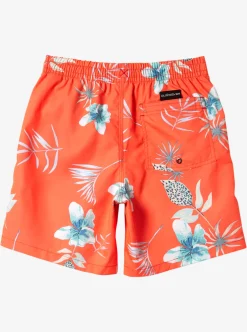 Cheap Quiksilver Boy'S 8-16 Everyday Mix Vl 15Nb Elastic Waist Shorts Fiery Coral
