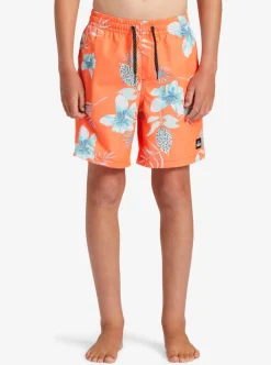 Cheap Quiksilver Boy'S 8-16 Everyday Mix Vl 15Nb Elastic Waist Shorts Fiery Coral