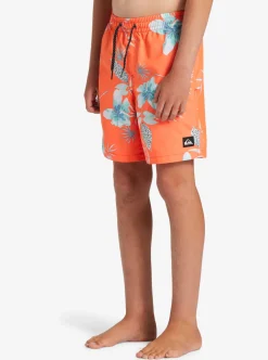 Cheap Quiksilver Boy'S 8-16 Everyday Mix Vl 15Nb Elastic Waist Shorts Fiery Coral