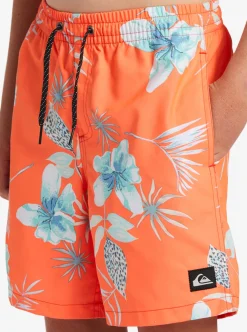 Cheap Quiksilver Boy'S 8-16 Everyday Mix Vl 15Nb Elastic Waist Shorts Fiery Coral