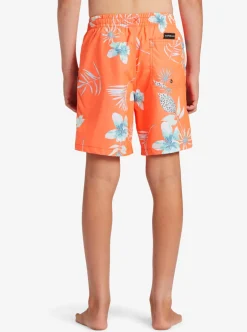 Cheap Quiksilver Boy'S 8-16 Everyday Mix Vl 15Nb Elastic Waist Shorts Fiery Coral