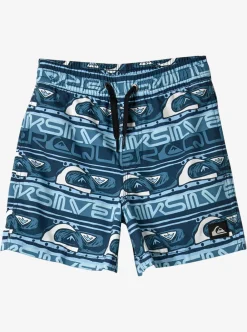 Best Sale Quiksilver Boy'S 2-7 Next Gen 12" Volleys Clear Sky