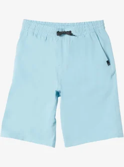Best Quiksilver Boy'S 8-16 Ocean Elastic 18" Amphibian Boardshorts Sky Blue