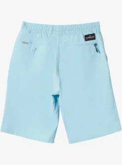 Best Quiksilver Boy'S 8-16 Ocean Elastic 18" Amphibian Boardshorts Sky Blue