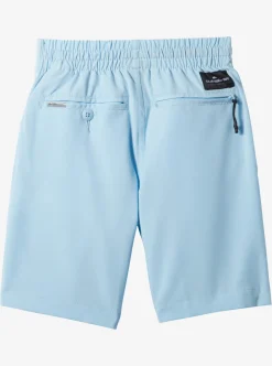 Fashion Quiksilver Boy'S 2-7 Ocean Elastic Waist 14" Amphibian Boardshorts Clear Sky