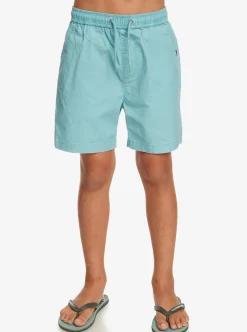 Flash Sale Quiksilver Boy'S 8-16 Taxer 15