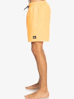 Best Quiksilver Everyday 17