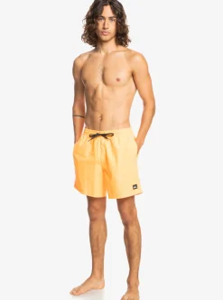Best Quiksilver Everyday 17