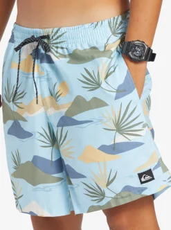 Clearance Quiksilver Everyday Mix 17