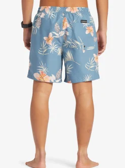 New Quiksilver Everyday Mix 17