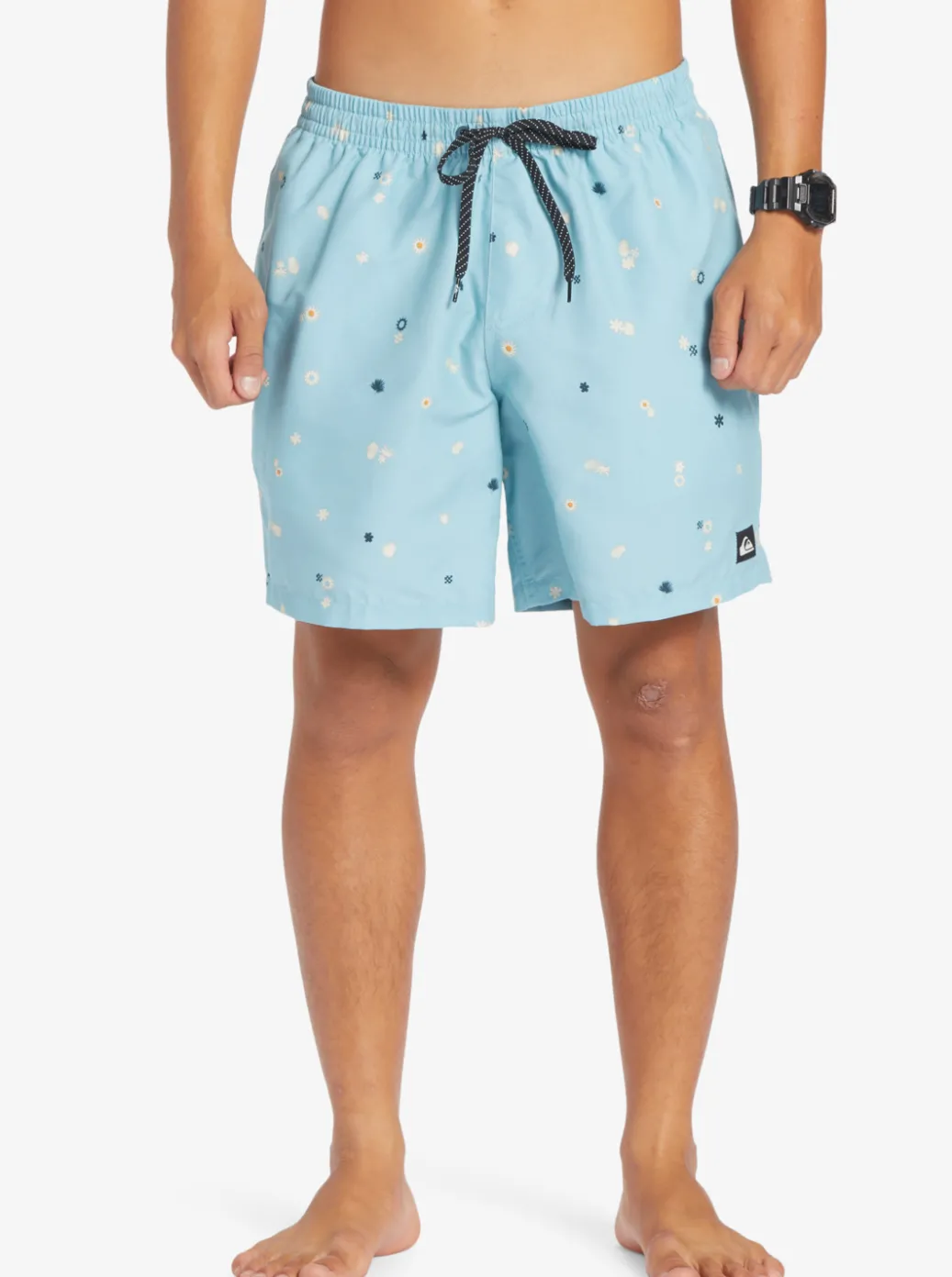 Best Quiksilver Everyday Mix 17" Volleys Celestial Blue