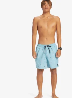 Best Quiksilver Everyday Mix 17