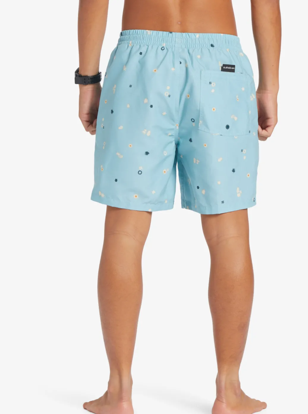 Best Quiksilver Everyday Mix 17" Volleys Celestial Blue