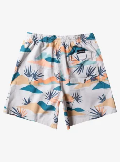 Flash Sale Quiksilver Everyday Mix 17" Volleys Birch