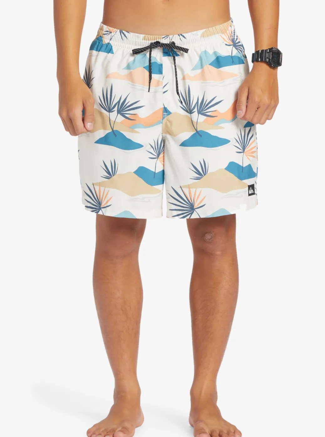 Flash Sale Quiksilver Everyday Mix 17" Volleys Birch