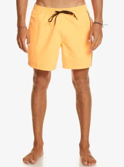Flash Sale Quiksilver Everyday Vert 16
