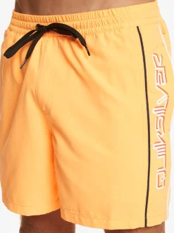Flash Sale Quiksilver Everyday Vert 16
