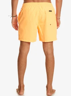 Flash Sale Quiksilver Everyday Vert 16