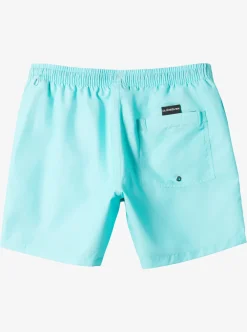 Fashion Quiksilver Everyday Vert 16" Volleys Blue Radiance