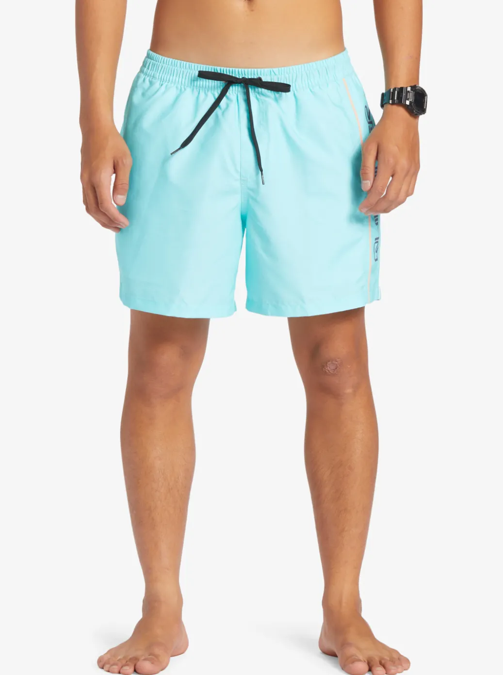 Fashion Quiksilver Everyday Vert 16" Volleys Blue Radiance