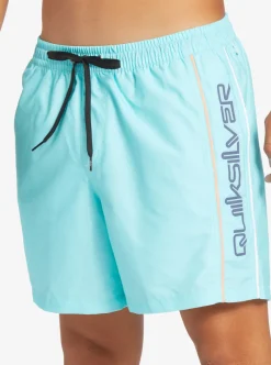 Fashion Quiksilver Everyday Vert 16