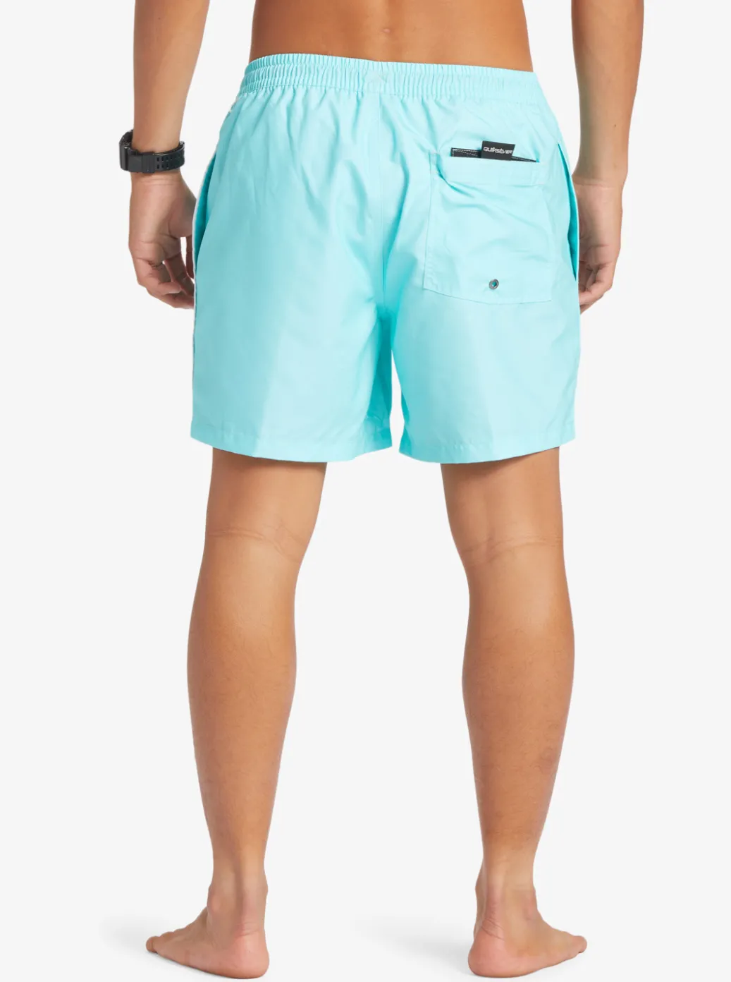 Fashion Quiksilver Everyday Vert 16" Volleys Blue Radiance