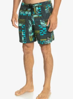 New Quiksilver Gregg Kaplan Og Arch Blank Canvas Vl 17