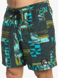 New Quiksilver Gregg Kaplan Og Arch Blank Canvas Vl 17