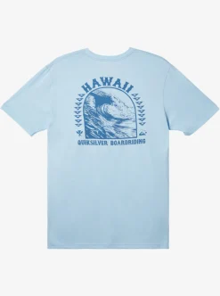 Online Quiksilver Hi Natural Resources T-Shirt Clear Sky