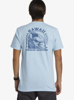 Online Quiksilver Hi Natural Resources T-Shirt Clear Sky