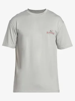 Shop Quiksilver Hi Royalty Surf Short Sleeve Upf 50 Surf T-Shirt Grey Violet
