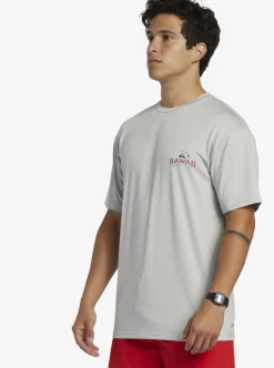 Shop Quiksilver Hi Royalty Surf Short Sleeve Upf 50 Surf T-Shirt Grey Violet