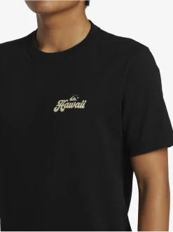 Flash Sale Quiksilver Hi Water On The Brain T-Shirt Black
