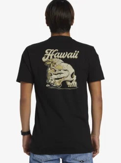 Flash Sale Quiksilver Hi Water On The Brain T-Shirt Black