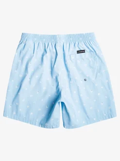 Best Quiksilver Re-Mix 17" Volleys Clear Sky