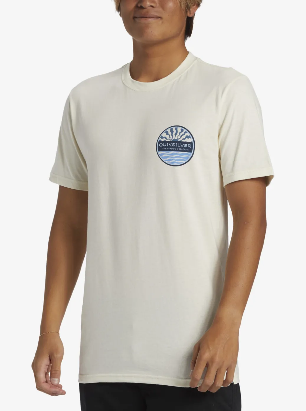 Best Quiksilver Sea Brigade T-Shirt Birch