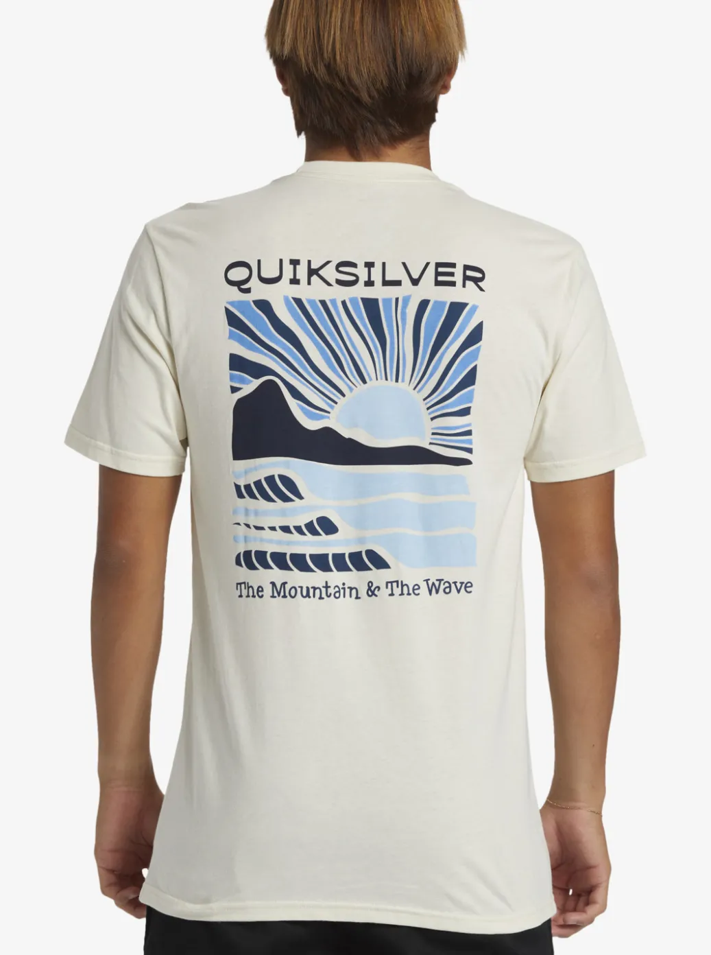 Best Quiksilver Sea Brigade T-Shirt Birch