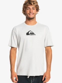 Store Quiksilver Solid Streak Short Sleeve Upf 50 Surf Tee Gray Violet