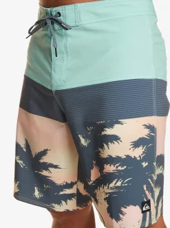 Discount Quiksilver Surfsilk Panel 20