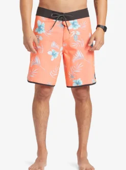 Best Sale Quiksilver Surfsilk Scallop 19
