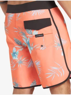 Best Sale Quiksilver Surfsilk Scallop 19