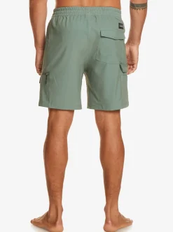 Best Sale Quiksilver Taxer Cargo 18