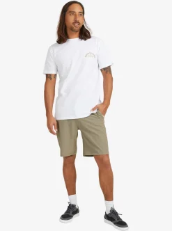 Best Quiksilver Union Heather Amphibian 20