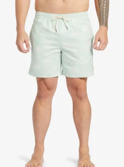 Cheap Quiksilver Waterman Cliffside 17