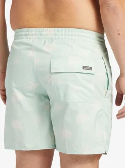 Cheap Quiksilver Waterman Cliffside 17